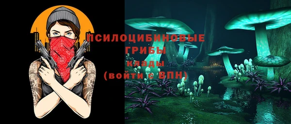 не бодяженный Богородицк
