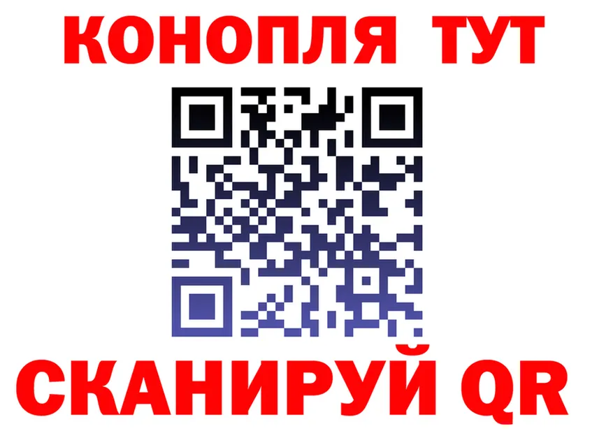 Бутират буратино маркетплейс площадка OMG Володарск