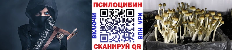 купить  цена  Володарск  Галлюциногенные грибы мухоморы 